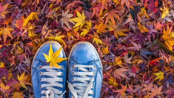Blue shoes on fall colored leaves that  are laying on the ground